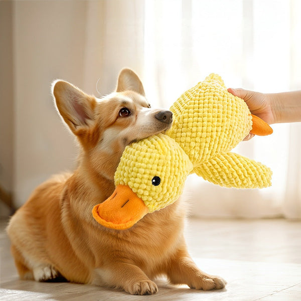 Dog Toys