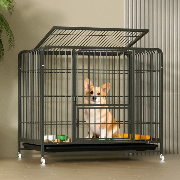 Dog Crates